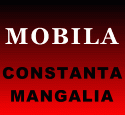 Firme Mobila si mobilier